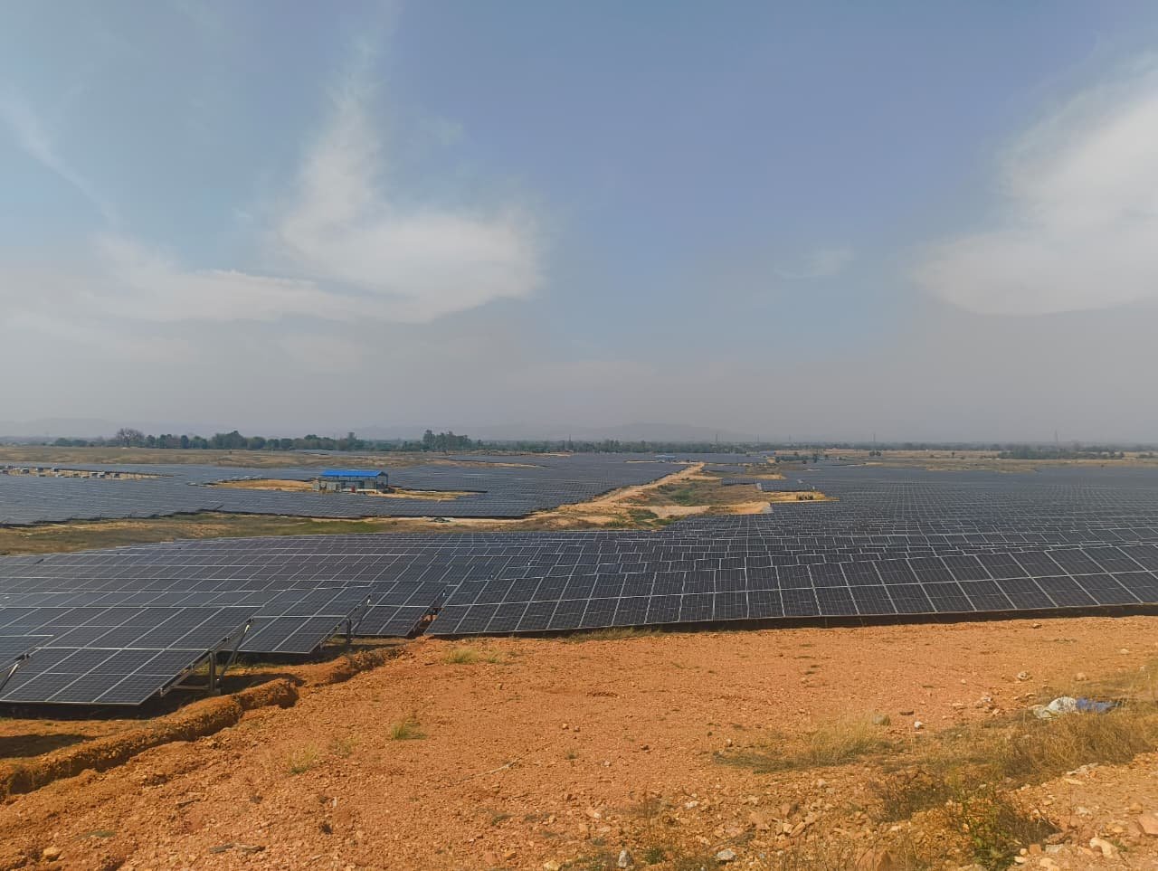 Solar field detail
